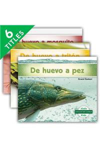 Animales Que Cambian Set 2 (Changing Animals) (Set)