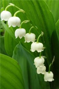 A Lily of the Valley Flower Journal