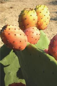 The Prickly Pears Journal: 150 Page Lined Notebook/Diary