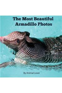 The Most Beautiful Armadillo Photos