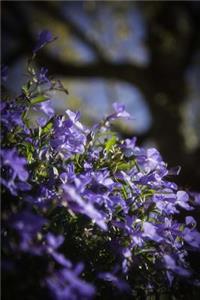 Sweet Purple Violet Flowers in the Garden Journal