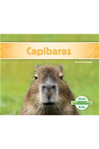 Capibaras (Capybaras) (Spanish Version)