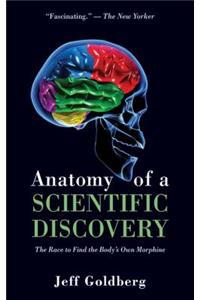 Anatomy of a Scientific Discovery