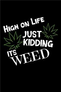 High on Life Just Kidding Its Weed