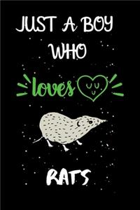 Just A Boy Who Loves Rats
