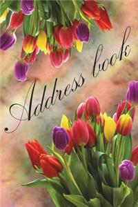 Address Book