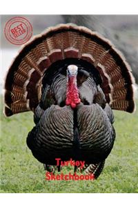 Turkey Sketchbook