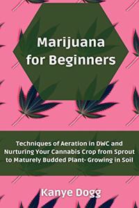 Marijuana for Beginners