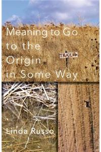 Meaning to Go to the Origin in Some Way