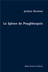 Le Spleen de Poughkeepsie