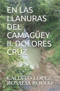 Las Llanuras del Camagüey II. Dolores Cruz