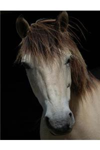 Horse Bullet Journal