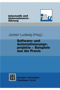 Software- Und Automatisierungsprojekte -- Beispiele Aus Der PRAXIS
