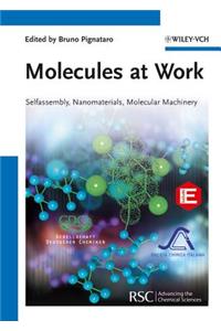 Molecules at Work