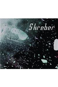 Dirk Skreber