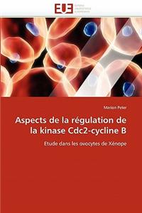 Aspects de la R�gulation de la Kinase Cdc2-Cycline B