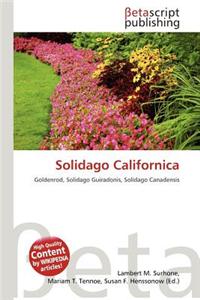 Solidago Californica