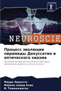 Процесс эволюции пирамиды Декуссатио и оп