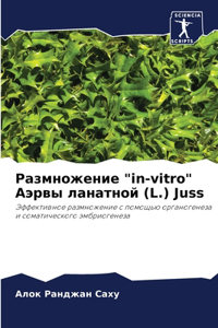 Размножение 