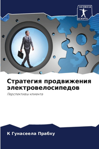 Стратегия продвижения электровелосипед&#