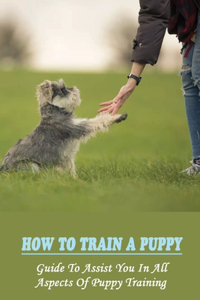 How To Train A Puppy