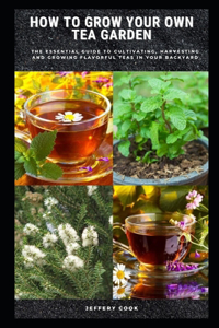 How to Grow Your Own Tea Garden