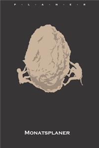 Klettern Felsen Stein Monatsplaner