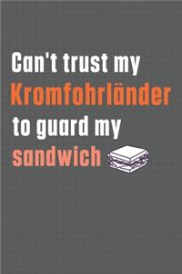 Can't trust my Kromfohrlander to guard my sandwich