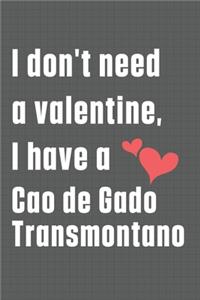I don't need a valentine, I have a Cao de Gado Transmontano