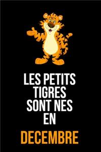 Les petits tigres sont nés en décembre
