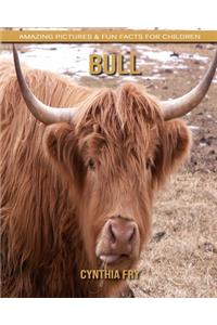 Bull