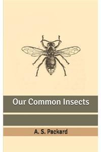 Our Common Insects