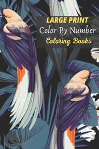 Large Print Color By Number Coloring Books