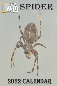 SPIDER Calendar 2022