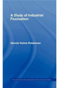 Study Indust Fluctuations Lse