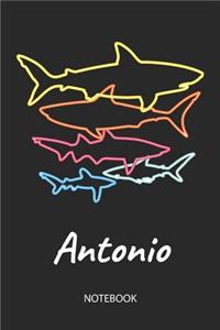 Antonio - Notebook