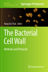 Bacterial Cell Wall