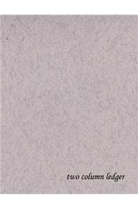 two column ledger