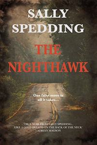 Nighthawk