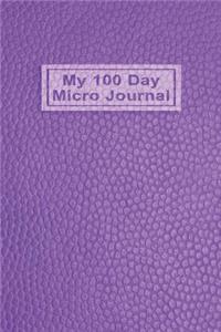 My 100 Day Micro Journal
