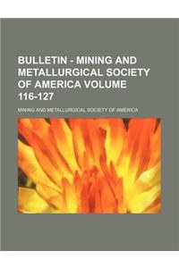 Bulletin - Mining and Metallurgical Society of America Volume 116-127