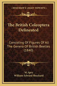 The British Coleoptera Delineated