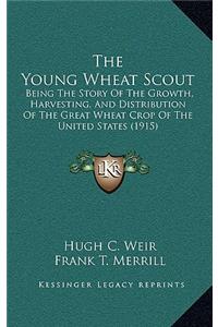 The Young Wheat Scout