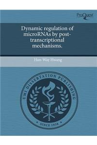 Dynamic Regulation of Micrornas by Post-Transcriptional Mechanisms