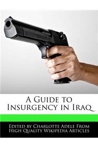 A Guide to Insurgency in Iraq