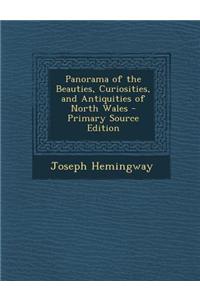 Panorama of the Beauties, Curiosities, and Antiquities of North Wales