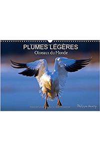 Plumes Legeres. Oiseaux du Monde 2017