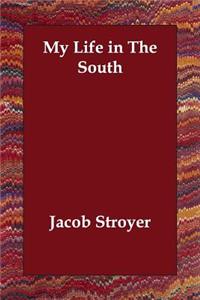 My Life in The South