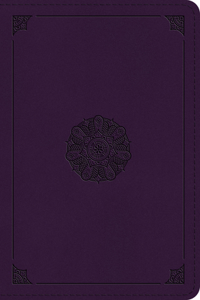 ESV Large Print Bible