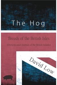 Hog - Breeds of the British Isles (Domesticated Animals of the British Islands)